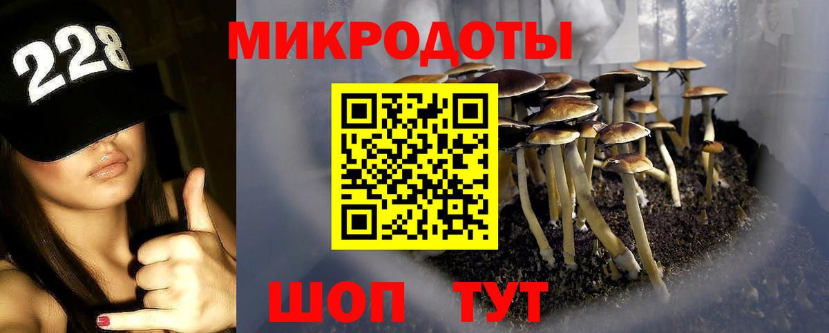 Псилоцибиновые грибы ЛСД Новосибирск