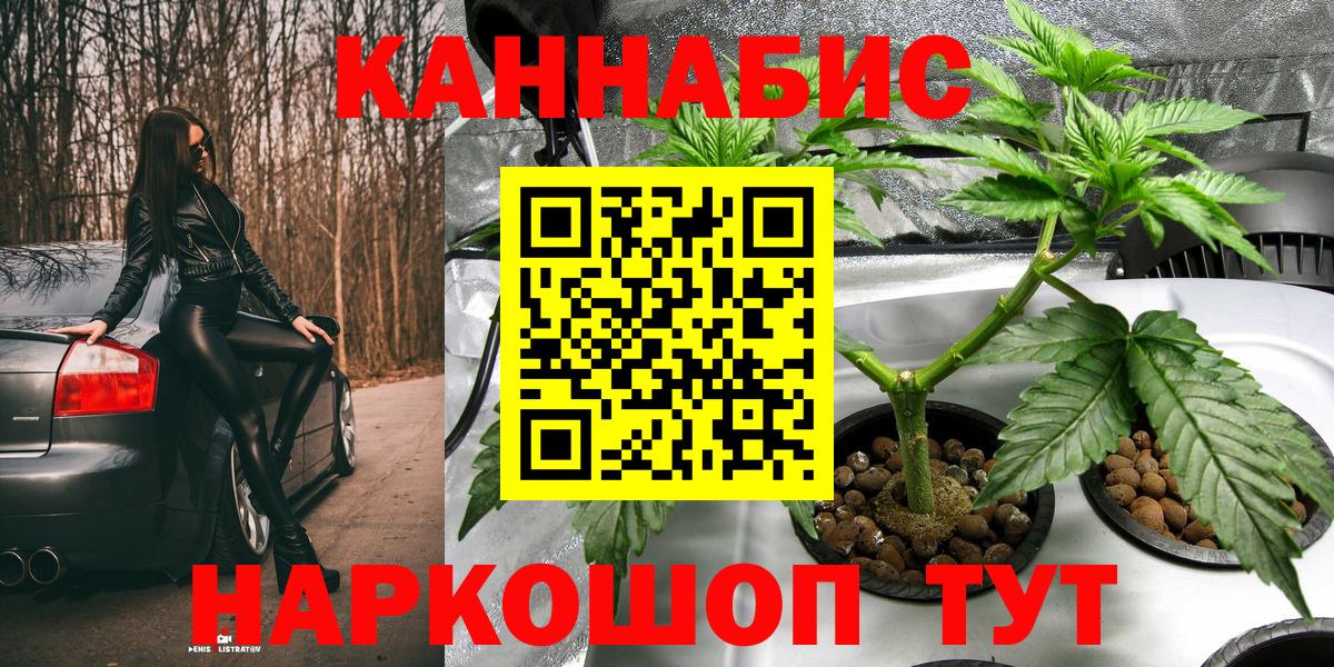 Бошки Шишки тримм  МАРИХУАНА MAZAR  Новосибирск  Вход с VPN  Бошки марихуана индика 